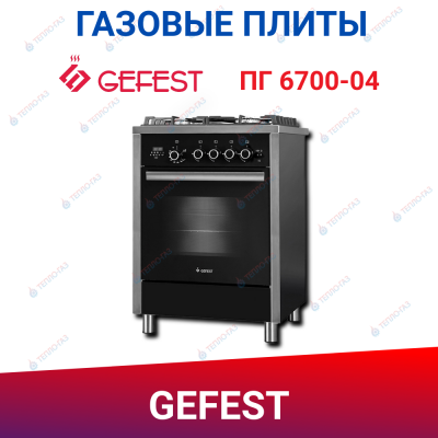 Газовая плита ПГ 6700-04