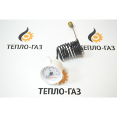 Манометр для котла Immergas Victrix, EOLO SUPERIOR, HERCULES (1.021488 1.032278)